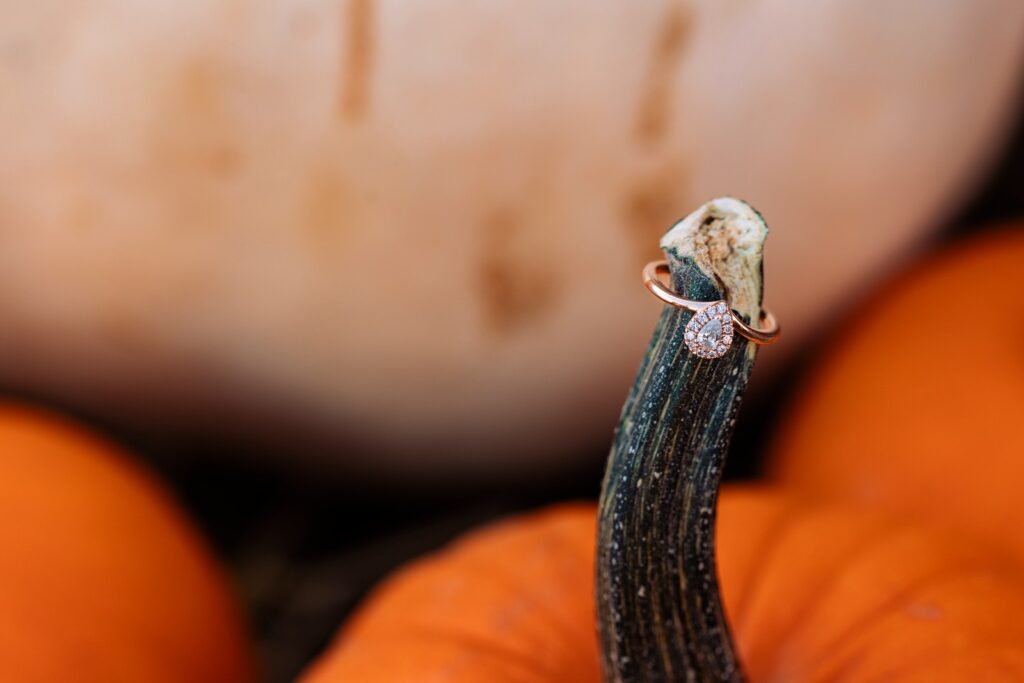 Engagement ring on a pumpkin stem