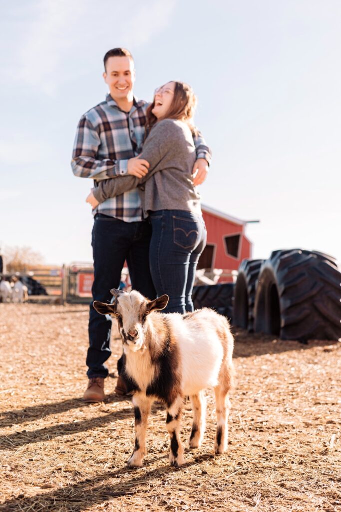 Couple posing behind a petting zoo goat at the Calgary Farmyard