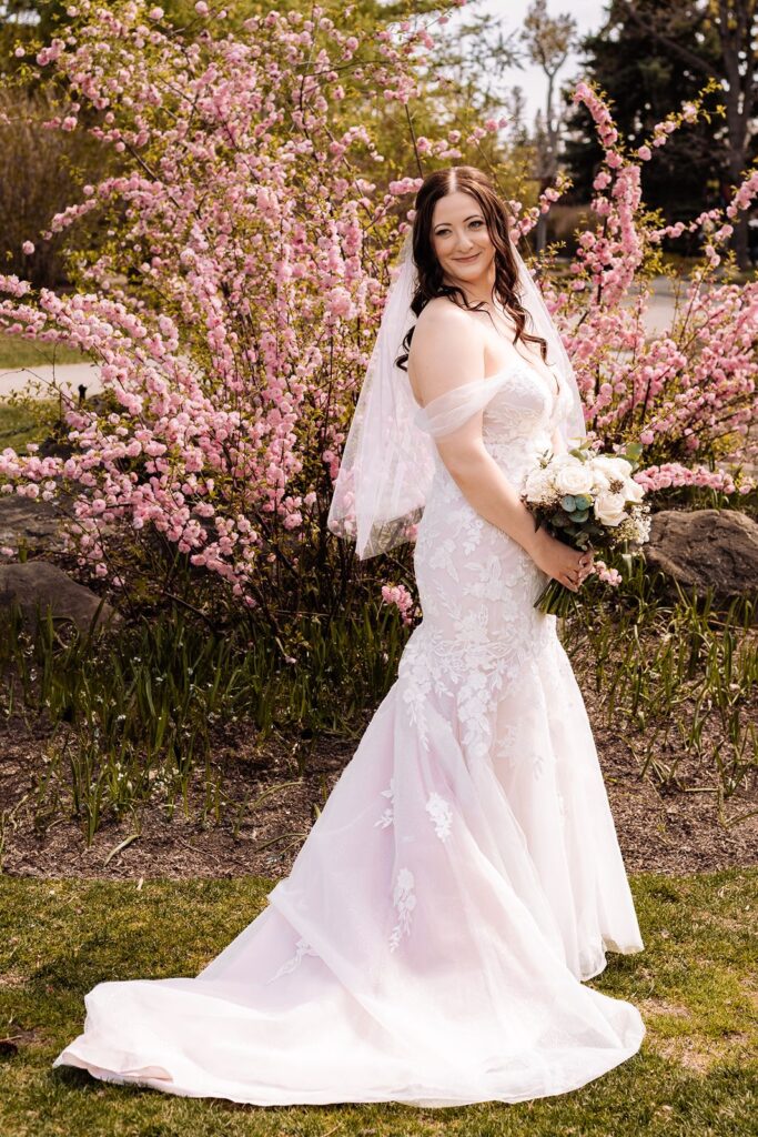 Bridal Portrait in front of pink blooming bush in the Calgary Zoo Harvie Gardens